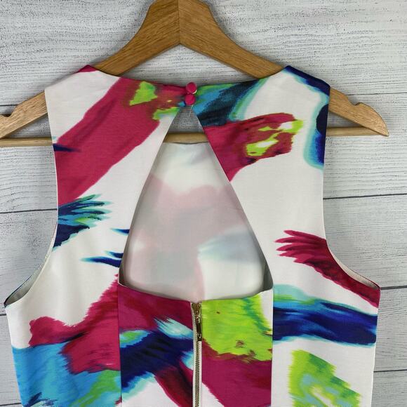 Eliza J Womens size 10 P Floral Bird Dress Belted Tulle Lined Cutout Fit & Flare - Picture 10 of 15